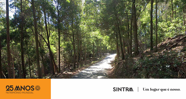 Serra de Sintra com trânsito condicionado quinta e encerrado sexta e sábado