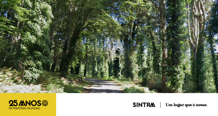 Atualização - Serra de Sintra com acesso condicionado esta sexta-feira e sábado
