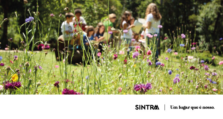 Parques de Sintra comemora Dia da Criança com atividades gratuitas