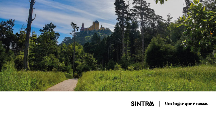 Monumentos de Sintra localizados em zonas florestais encerrados até domingo