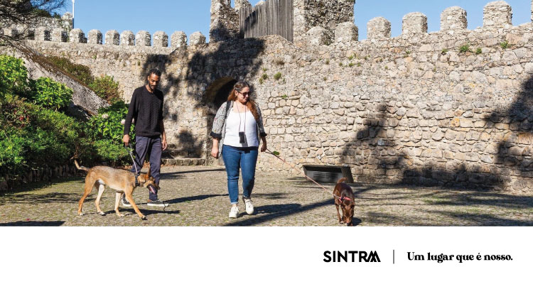 Visitantes do Castelo dos Mouros já podem levar os seus cães
