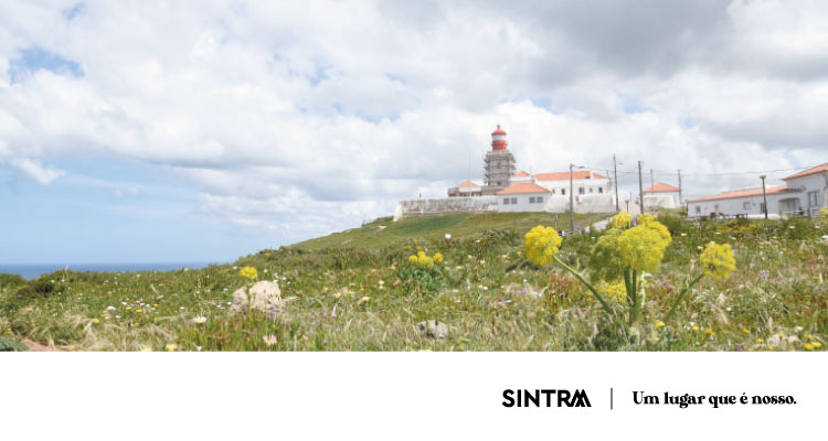 Eléctrico de Sintra e posto de turismo do Cabo da Roca encerrados no Natal e Ano Novo