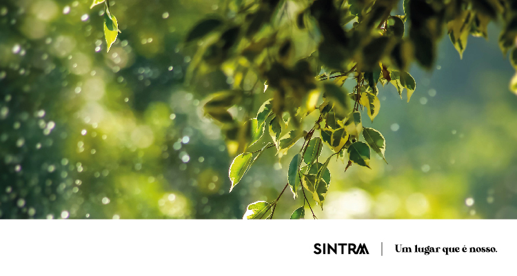 Feira do ambiente e sustentabilidade na Quinta da Ribafria em Sintra
