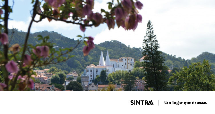 Paisagem cultural de Sintra em destaque na Visão