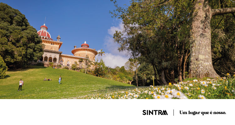 Parques de Sintra celebra o Dia do Pai a ouvir os sons da paisagem e a descobrir a natureza em Monserrate