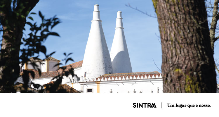 Parques de Sintra restaura icónicas chaminés do Palácio Nacional de Sintra