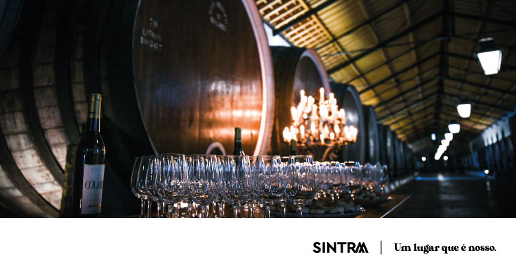 Vinhos de Sintra marcam presença na 60ª Feira Nacional de Agricultura 