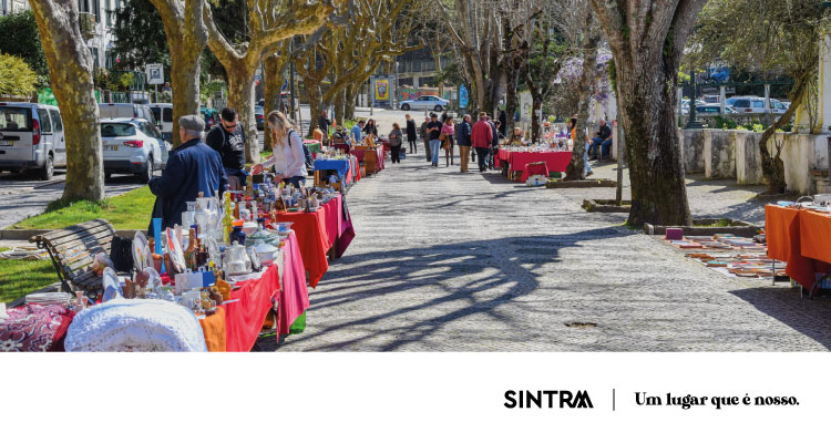 INFO | Mercado Brocante realiza-se excecionalmente dia 15 de agosto