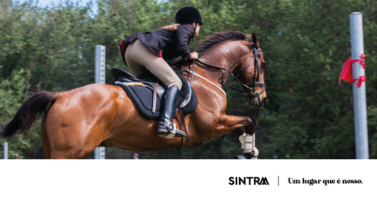   Sintra acolhe evento de Dressage