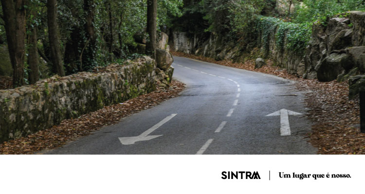 Serra de Sintra dá a partida ao Camélias Classic Rally