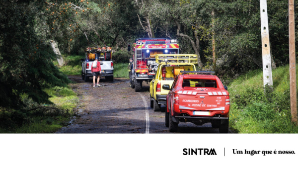 Monumentos e perímetro florestal da Serra de Sintra mantêm-se encerrados devido a condições meteorológicas adversas