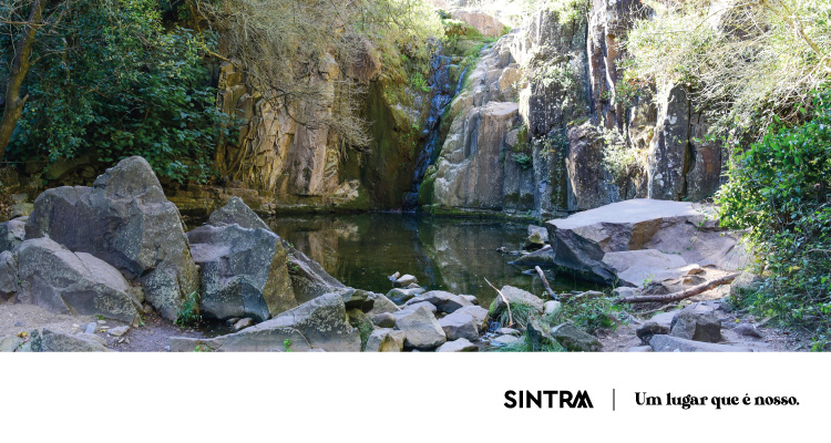 Sintra assinala o Dia das Águias com caminhada temática na Cascata de Anços