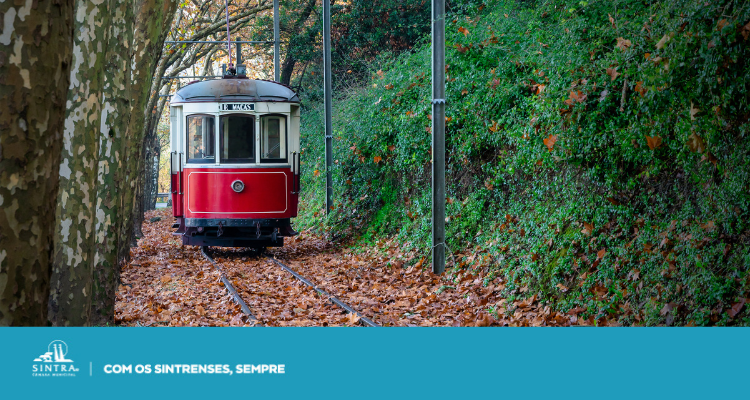 AVISO | Suspensão da circulação do Eléctrico de Sintra devido às condições meteorológicas