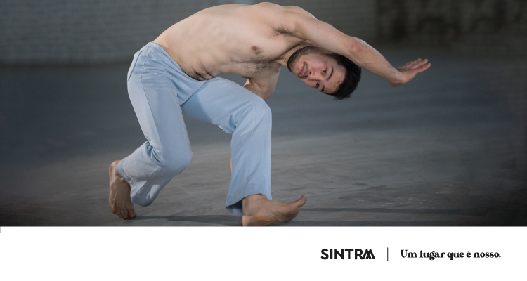 banner_capoeira_1