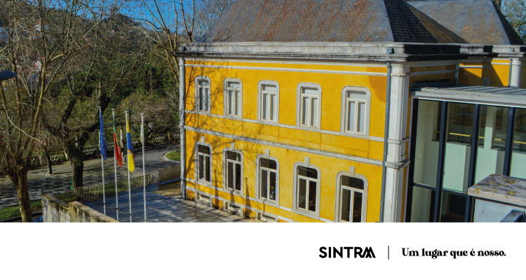 biblioteca_sintra999898