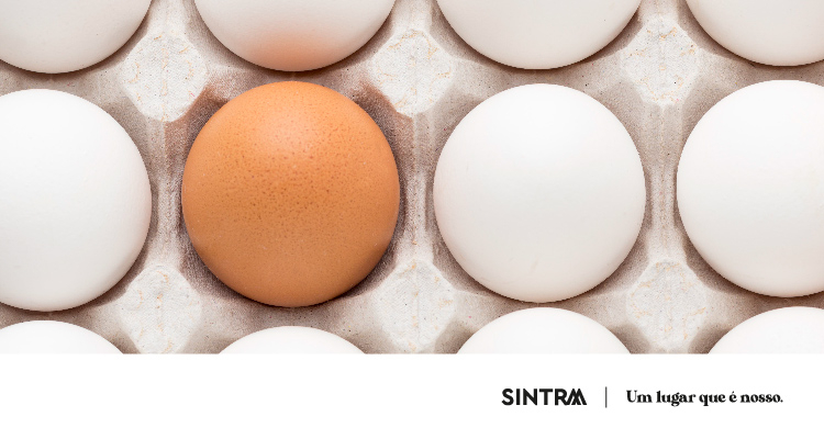 Bibliotecas_Maio_Banner_Ovo45