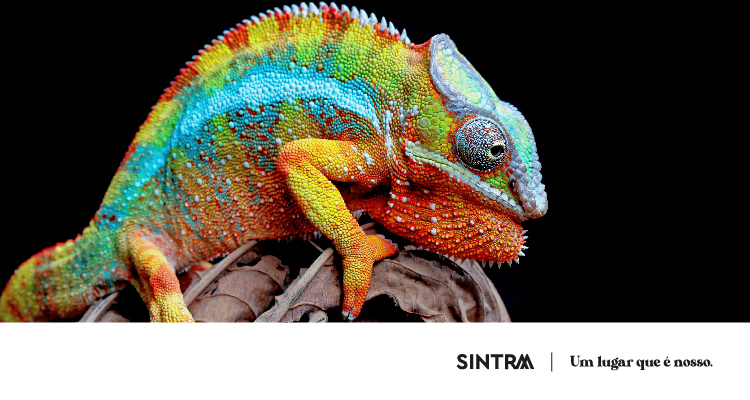Bibliotecas_Outubro_Banner_Monstro_das_Cores988