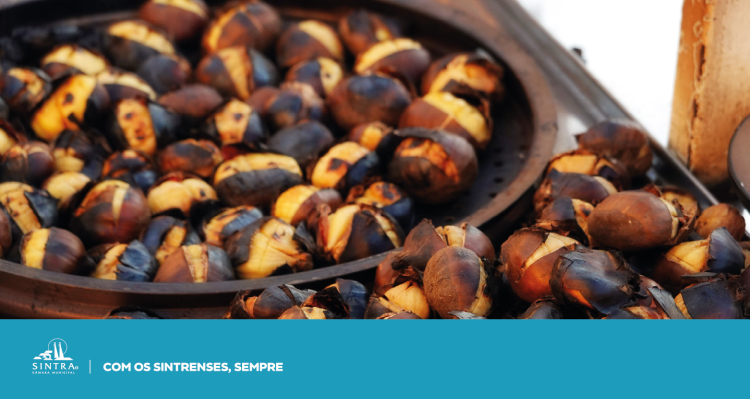 Centros_LUdicos_Novembro_Banner_CLL_Sao_Martinho